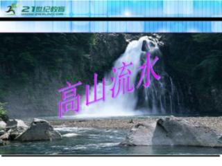 玄凤鹦鹉养多少可以办证？游戏画面